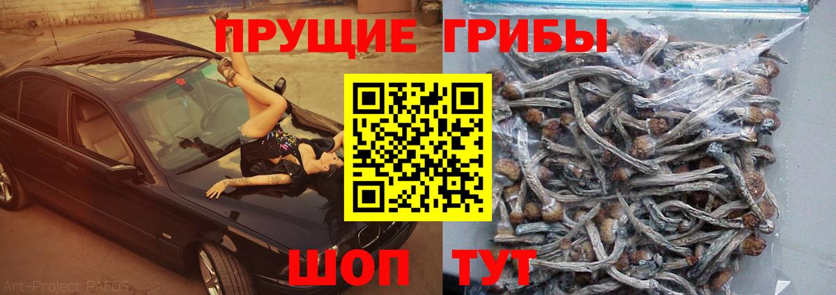 Галлюциногенные грибы Magic Shrooms Егорьевск
